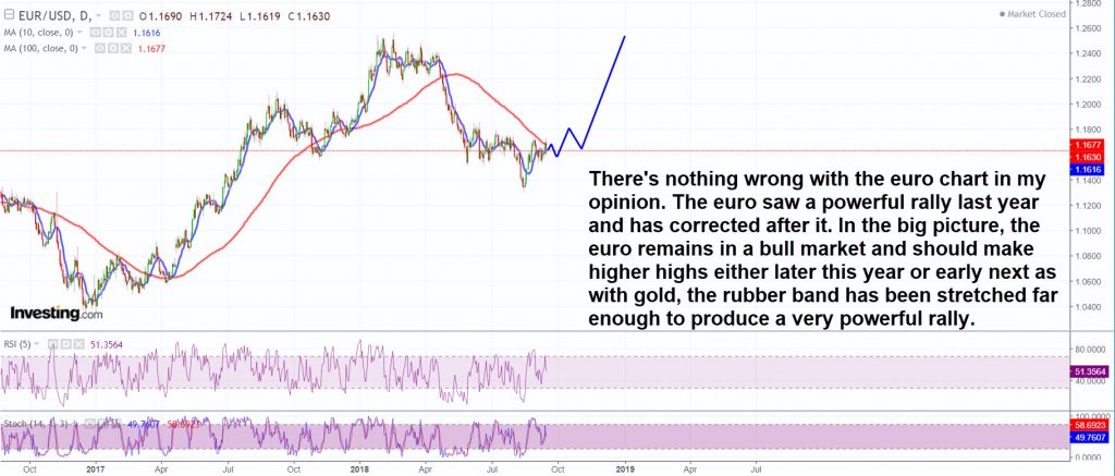 The euro remains in a bull market